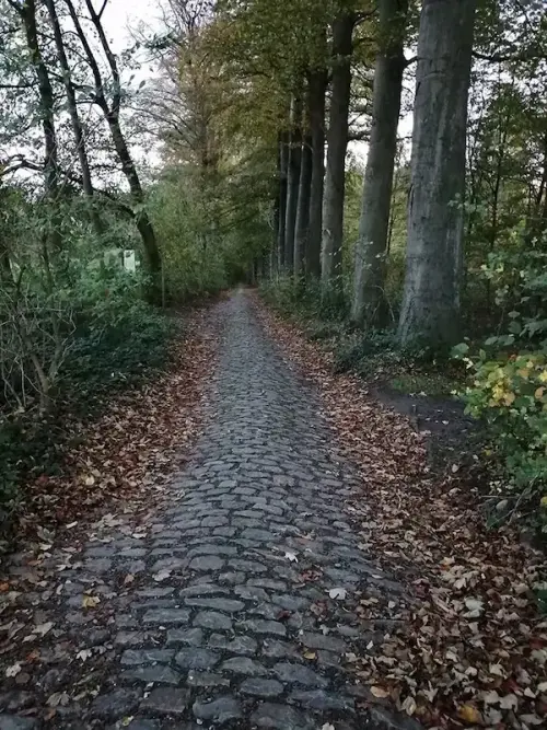 Chambre Louvain-la-Neuve